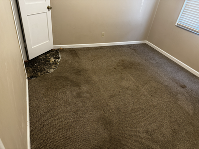 Lux1bedroomcarpet.png