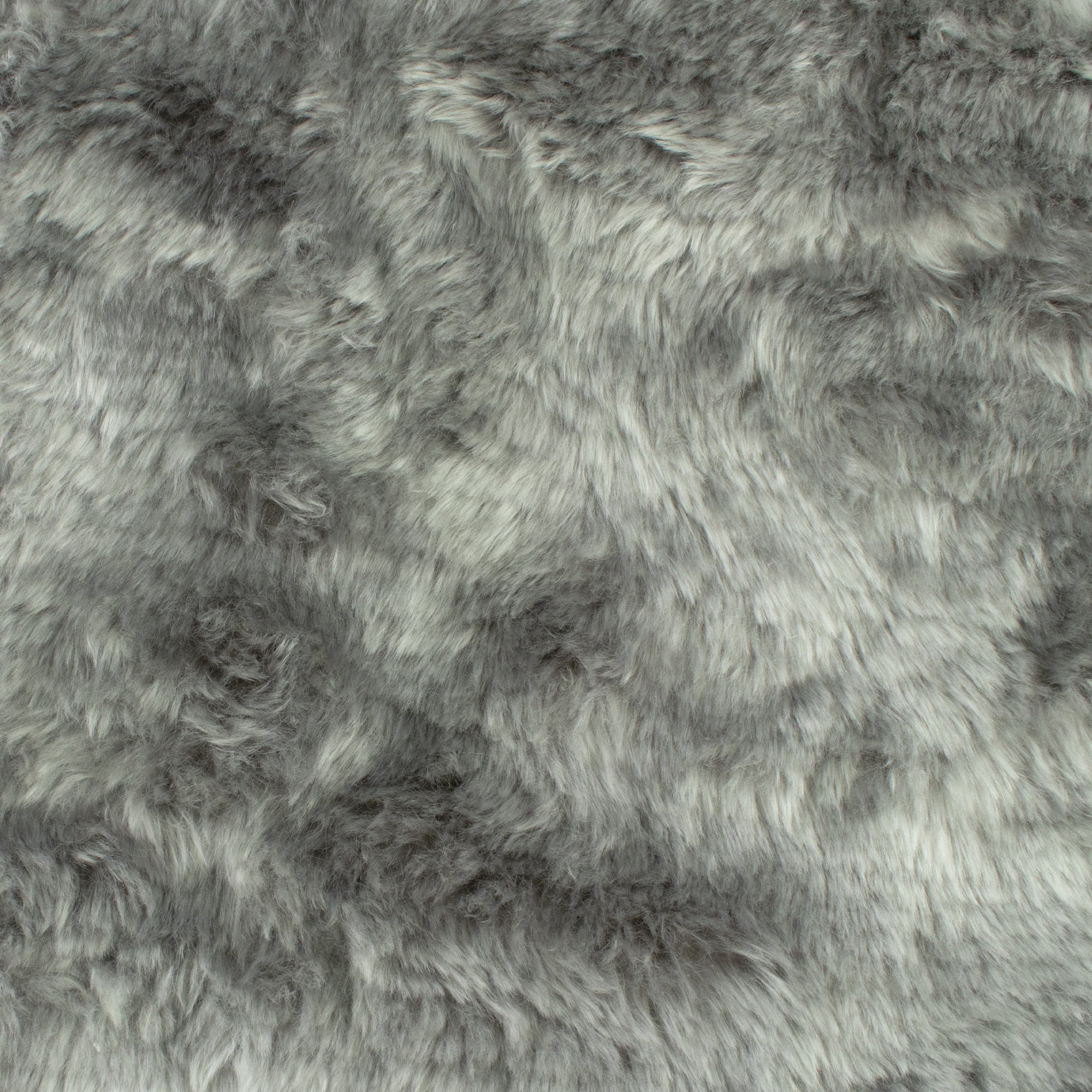 Grey Shadow