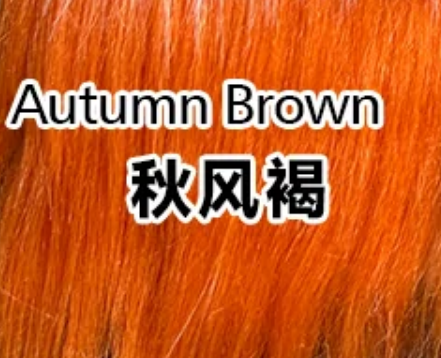 Autumn Brown 秋风褐