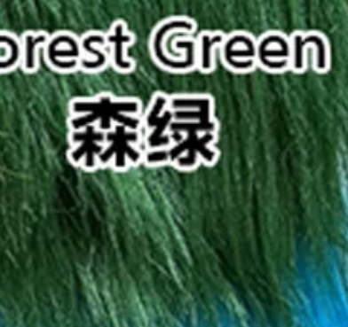 Forest Green 森绿