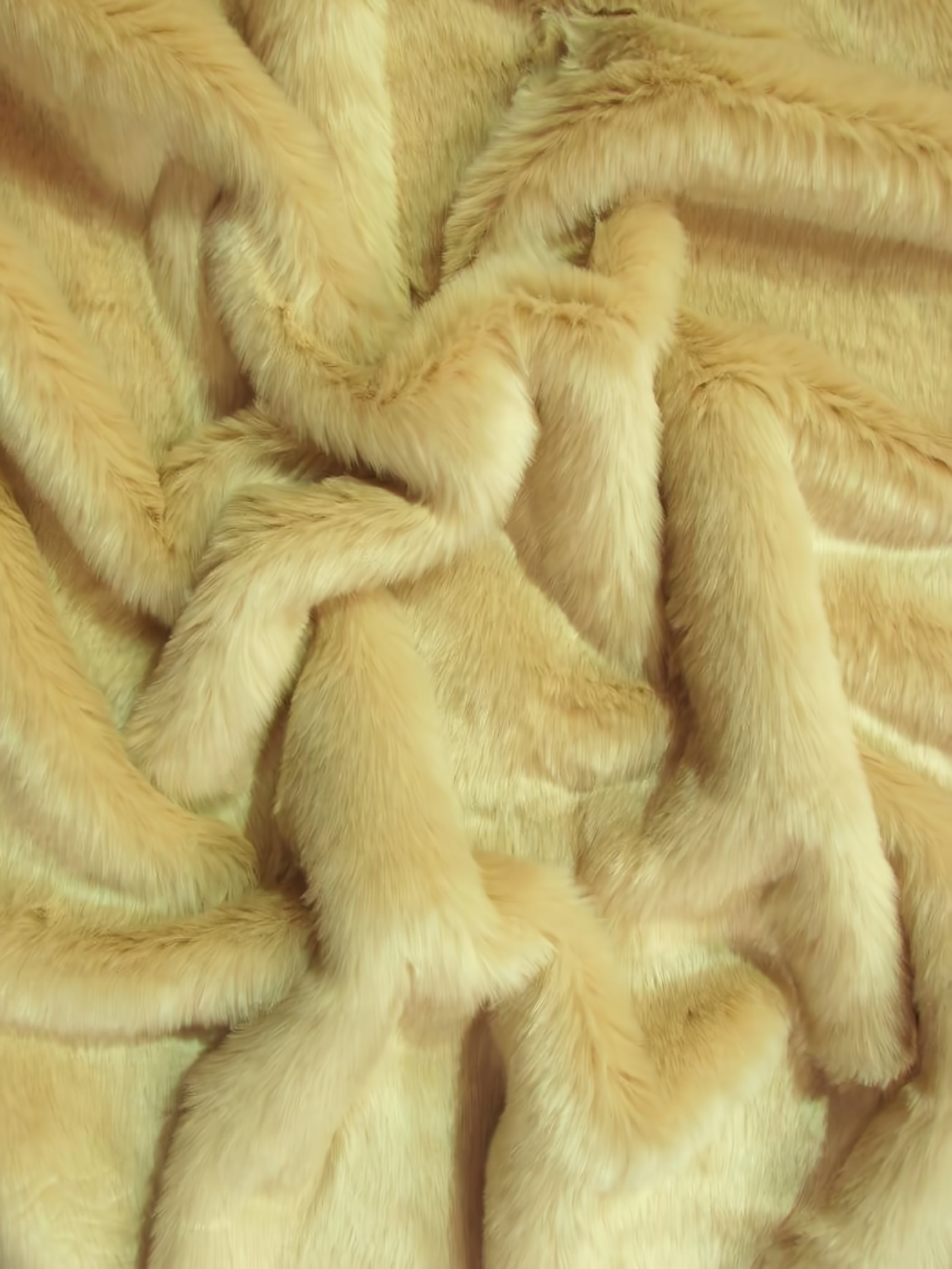 Blonde Short Shag