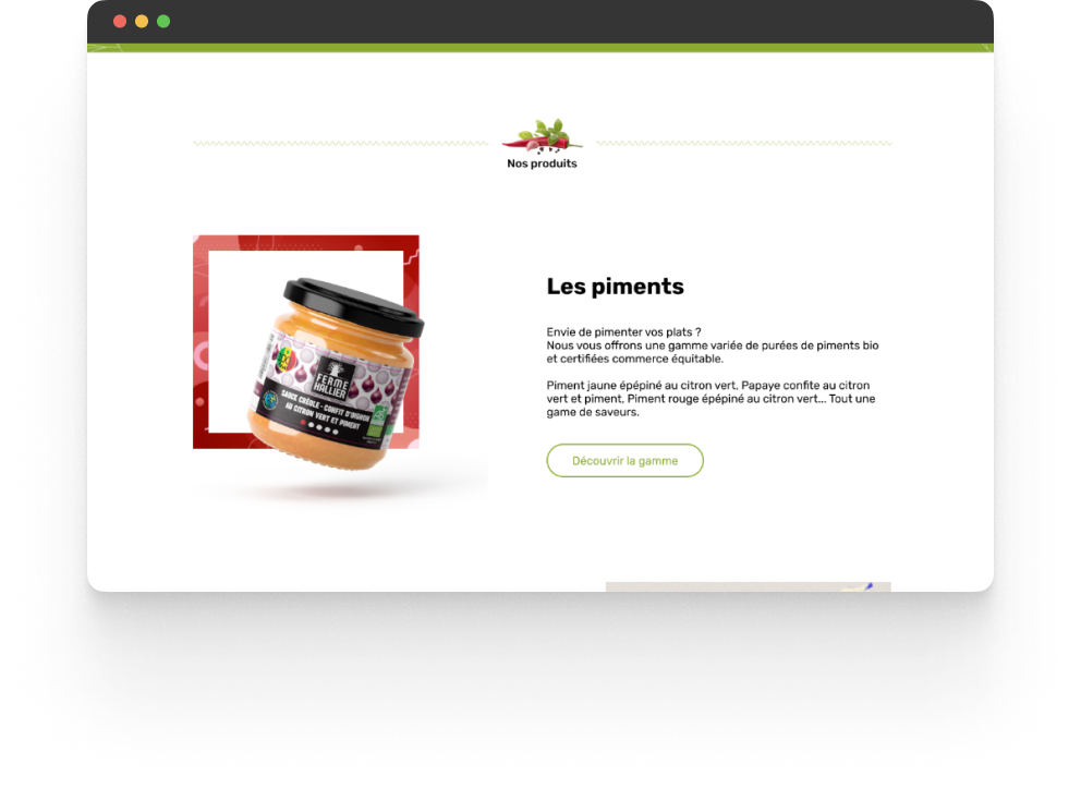 Teranga & co — visuel 2