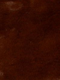 Chocolate Brown Plush