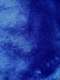 Royal Blue Seal