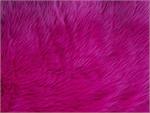 Fuchsia Shaggy