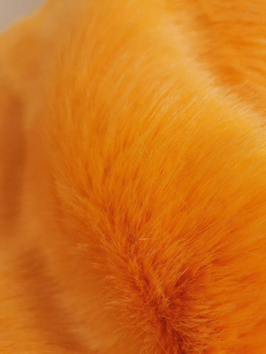 Sunset "Teddy Fox"