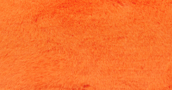 Orange Beaver/Seal