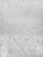 White Alpaca