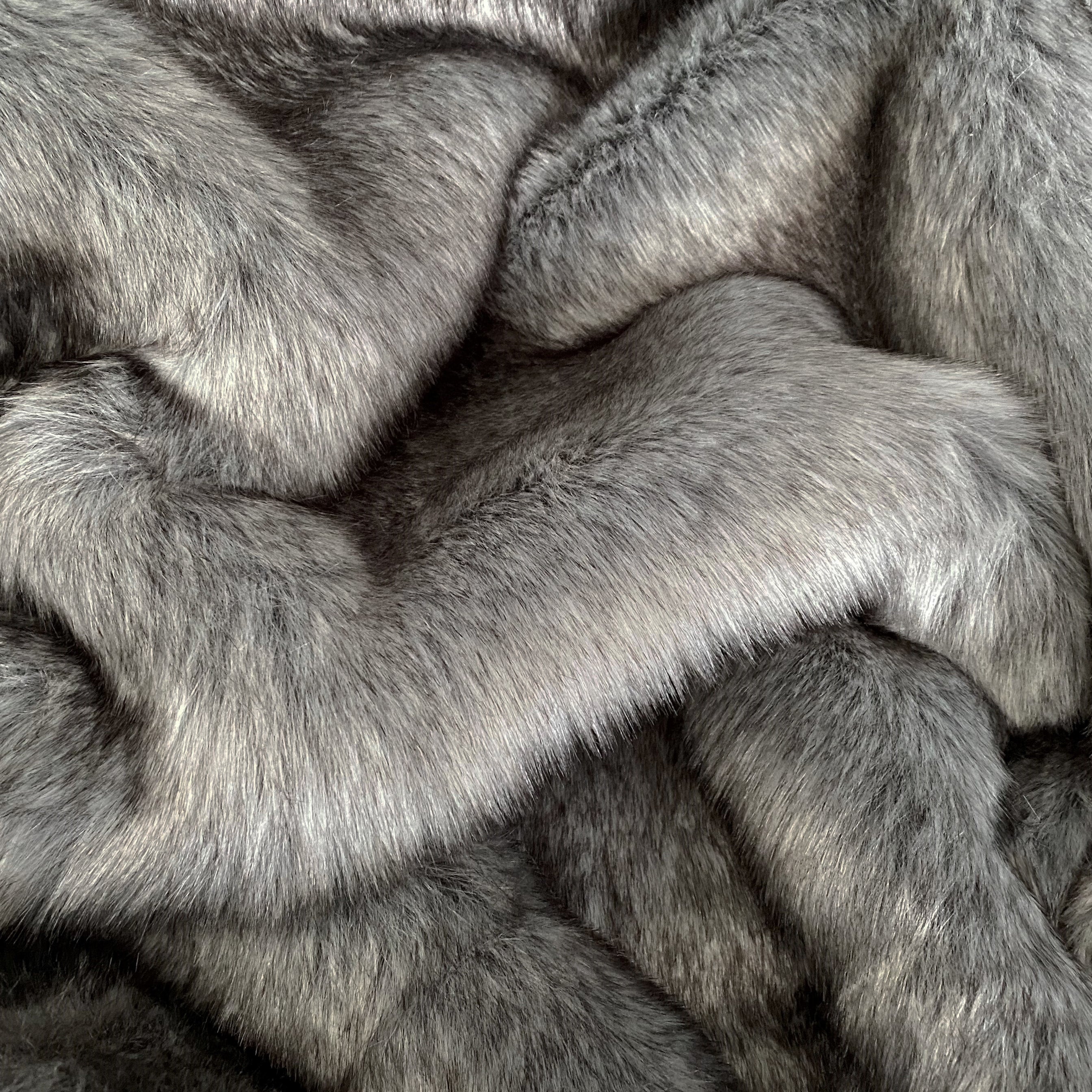 Siberian Fox