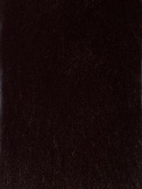 Black Fox