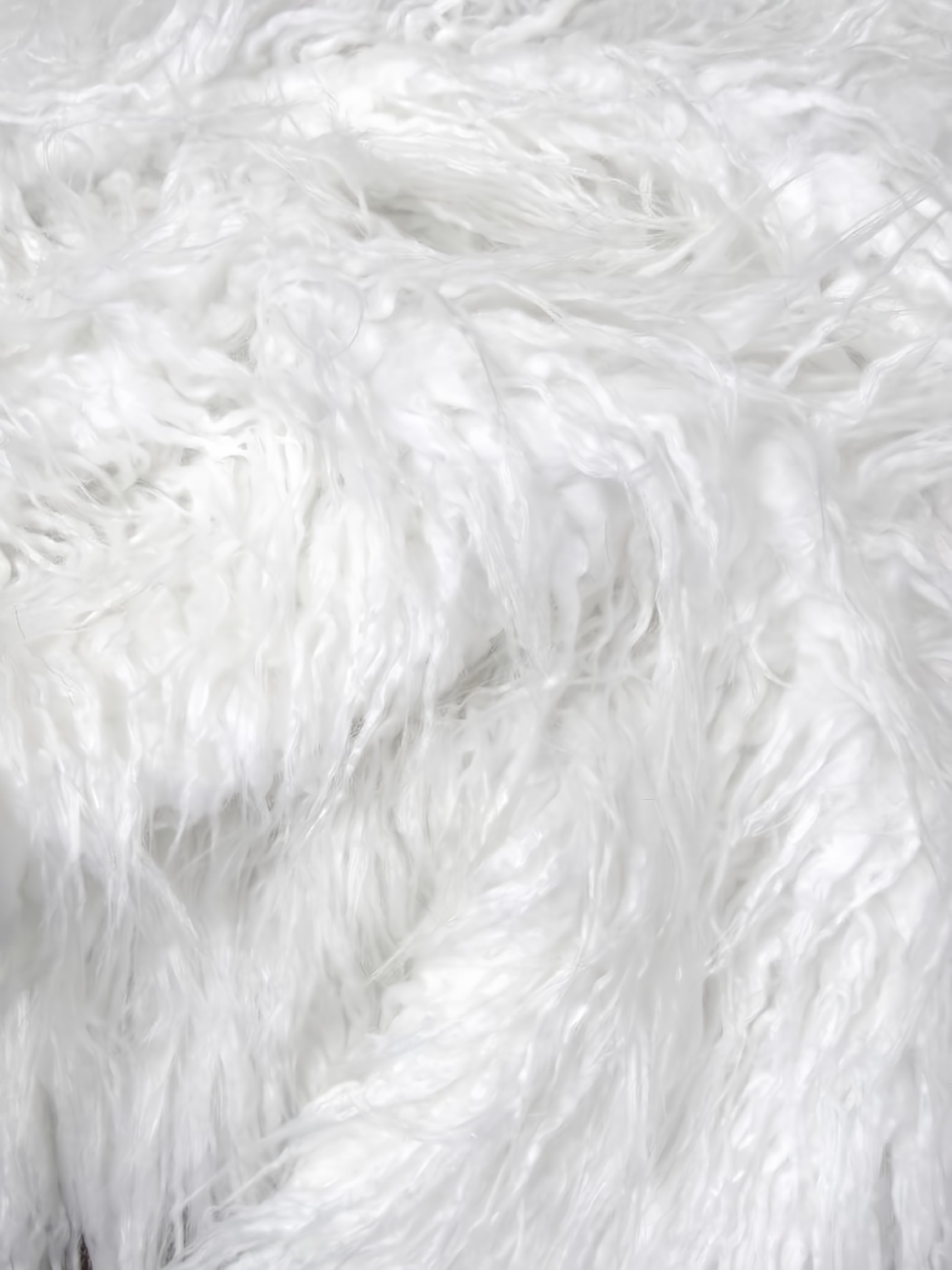 White Curly Mongolian