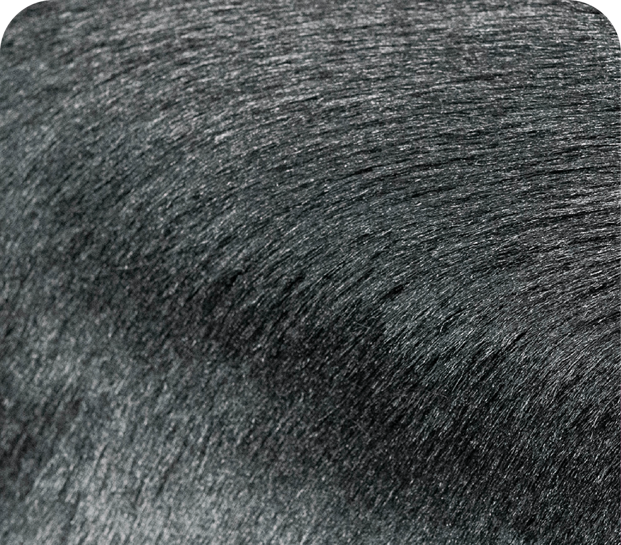 Carbon Black