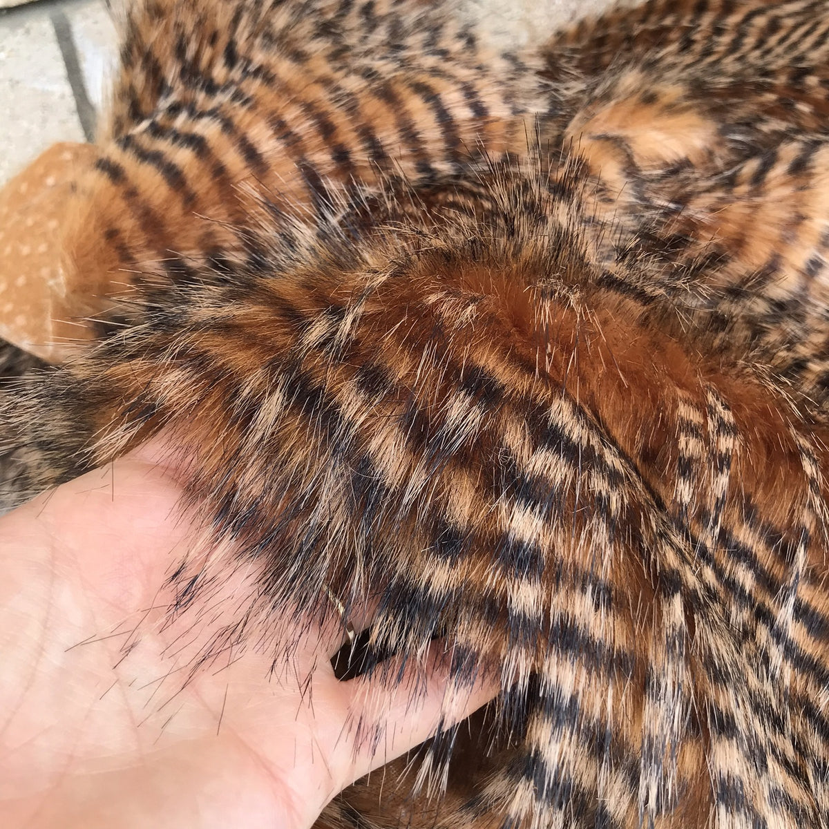 Pheasant Feather