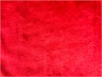 Red Weasel