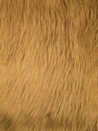Caramel Luxury Shag