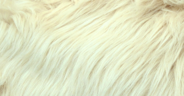 Camel Luxury Shag