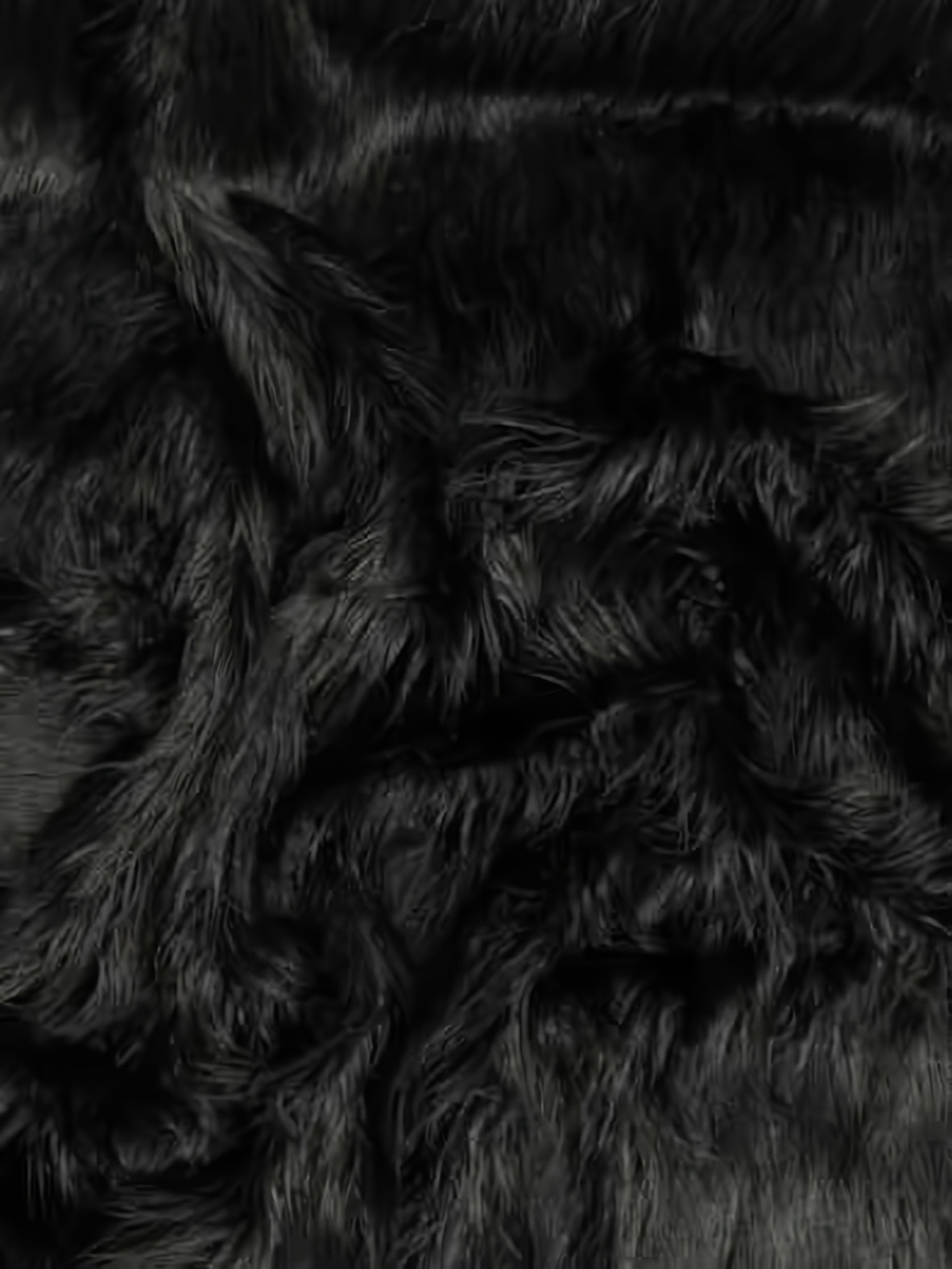 Black Mongolian