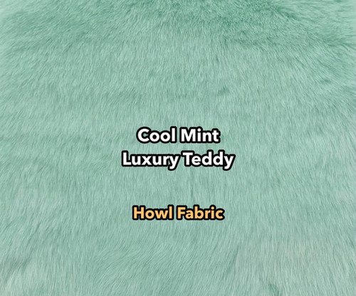 Cool Mint Luxury Teddy faux fur swatch
