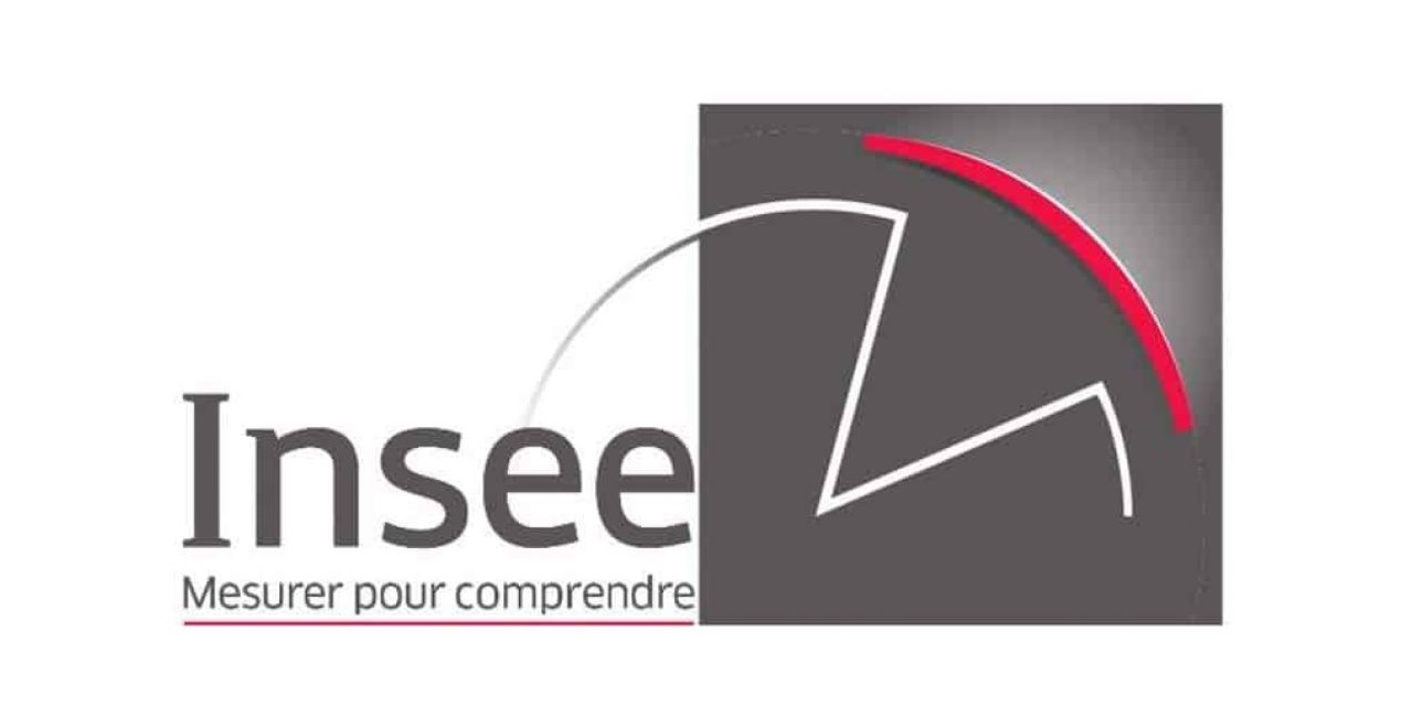 logo insee.jpg