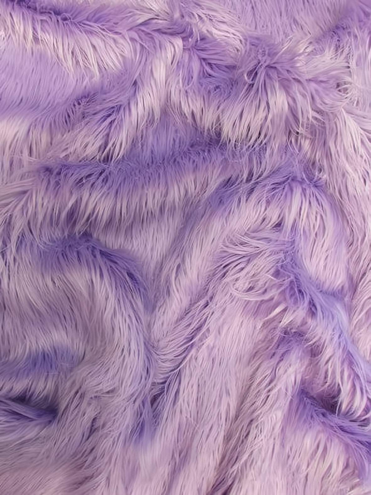 Lavender Mongolian