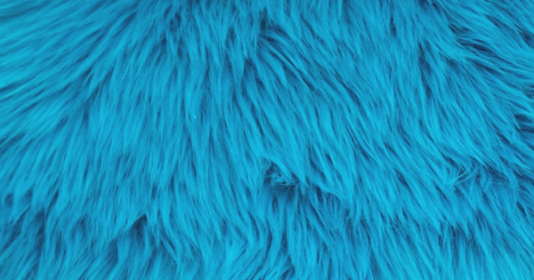 Electric Blue Luxury Shag