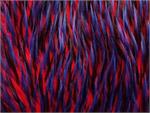 Red Black Royal Blue