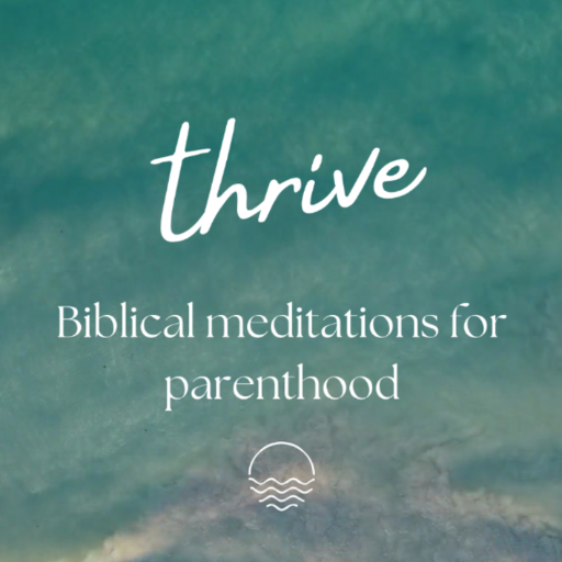 Thrive Biblical Meditation