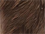 Brown Shaggy