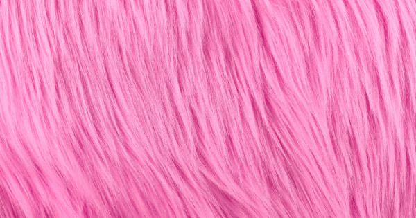 Bubblegum Pink Luxury Shag