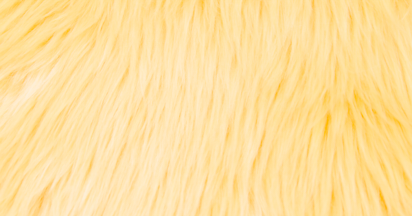 Butter Yellow Luxury Shag