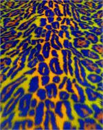 Violet, Orange, Green, Yellow