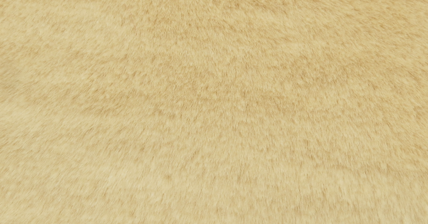 Camel Beaver/Seal