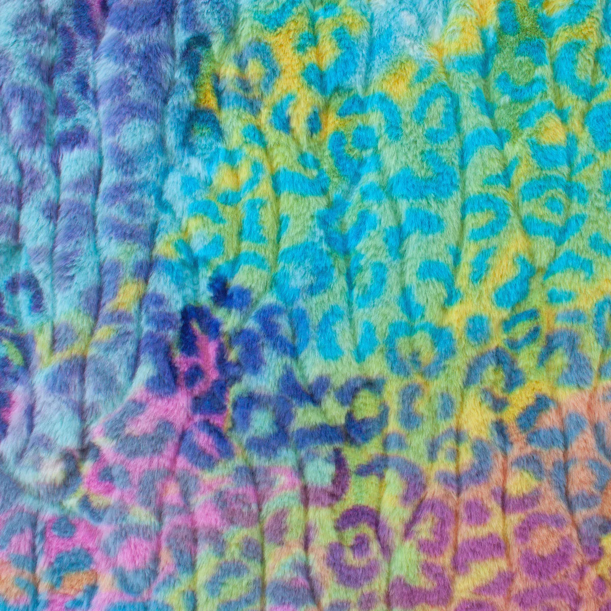 Pastel Snuggle Party Animal Four Seasons