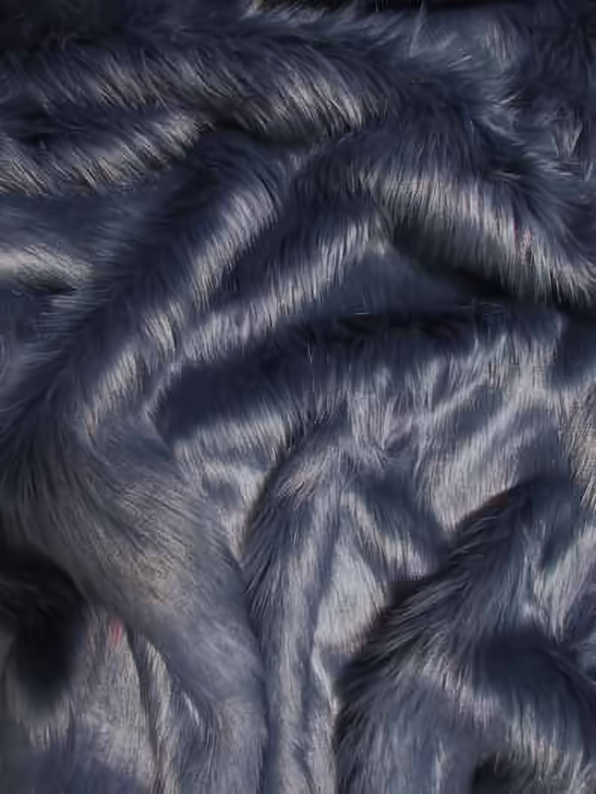 Navy Blue Shaggy