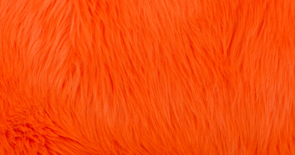 Orange Luxury Shag