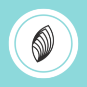 Family ID Assessment App