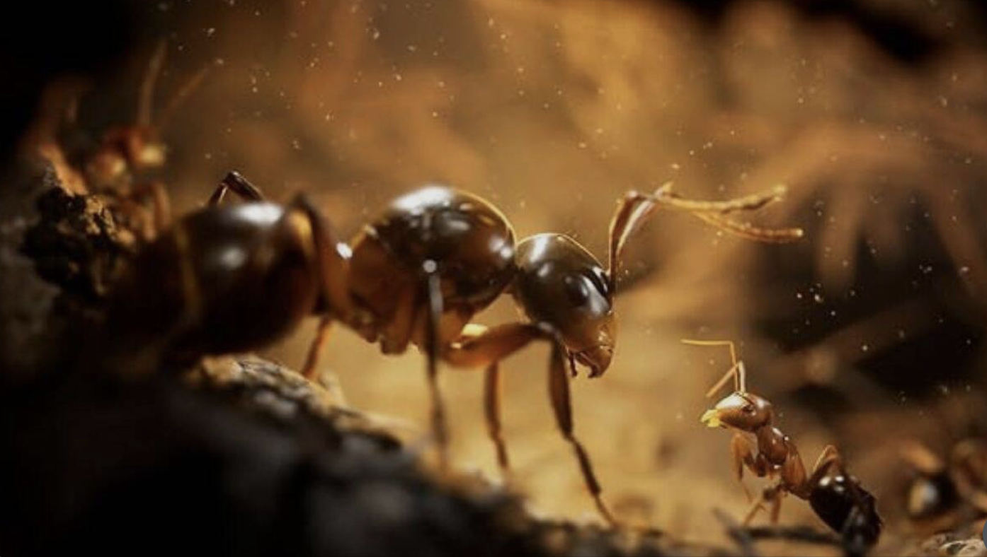 Capture d’écran 2026-03-12 à 14.57.32.png