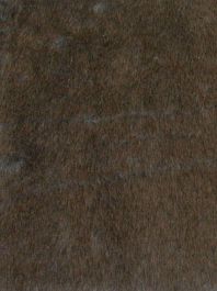 Slate Grey Plush