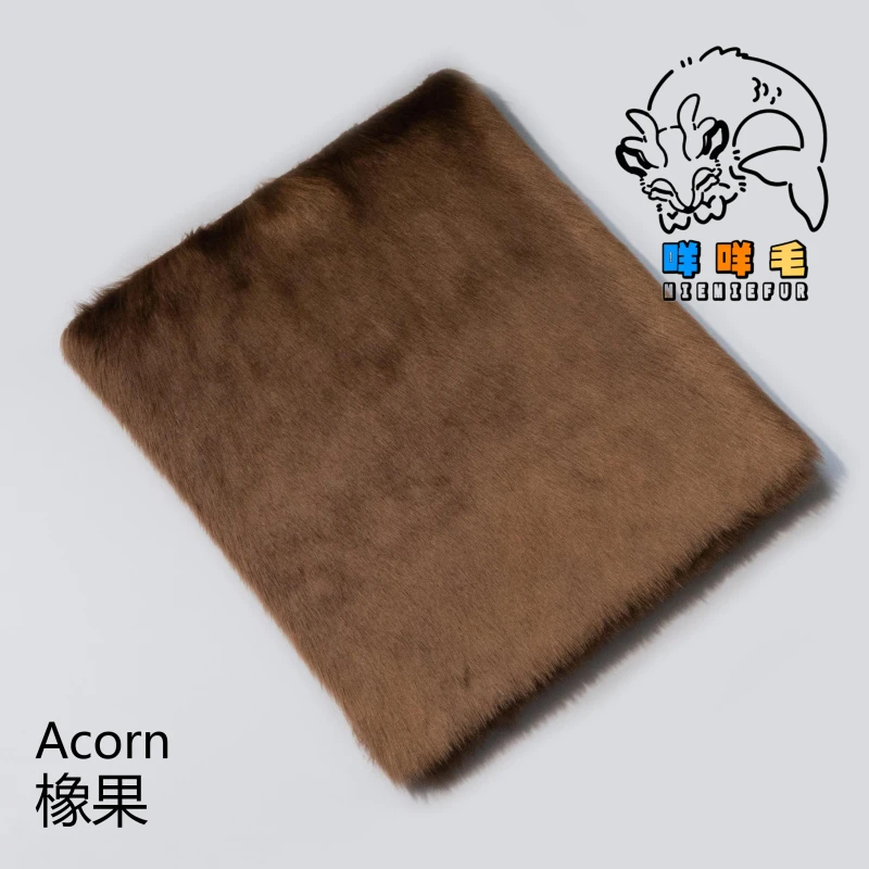 Acorn
