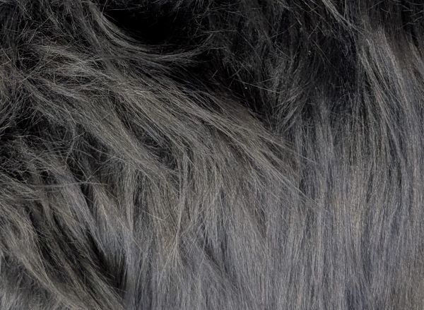 Punky Muppet Charcoal