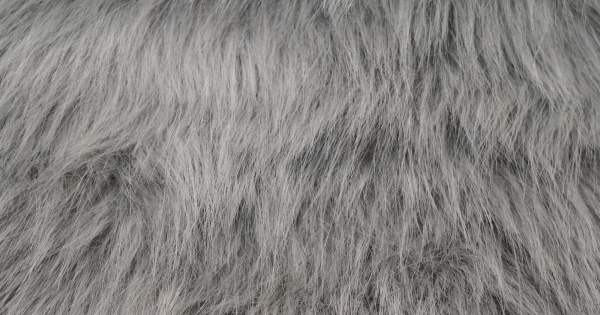 Silver Luxury Fox