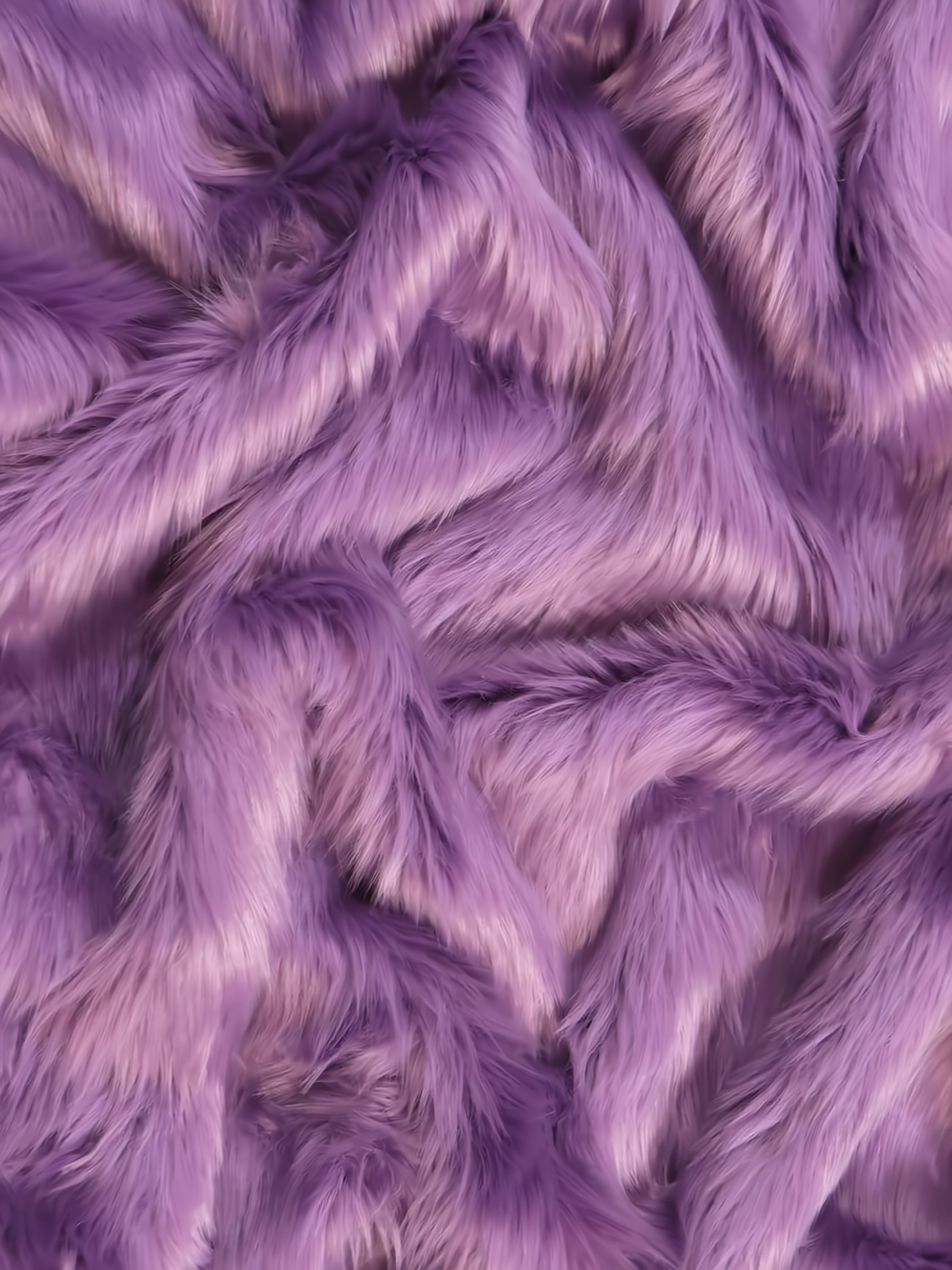 Violet Shaggy