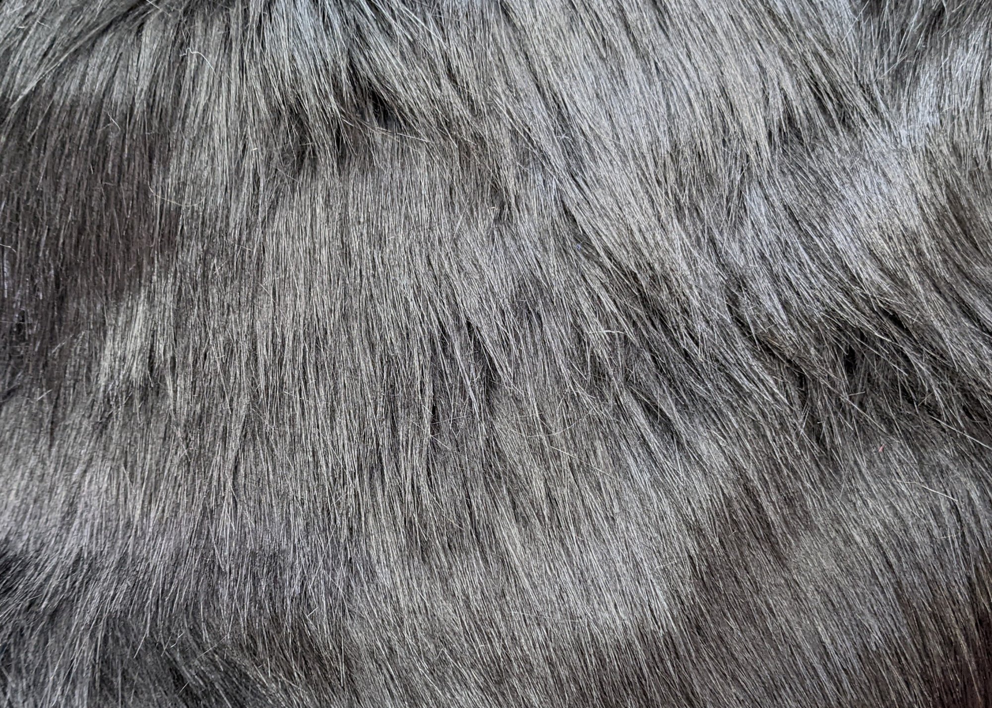 Arctic Fox Black