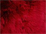 Dark Red Shaggy