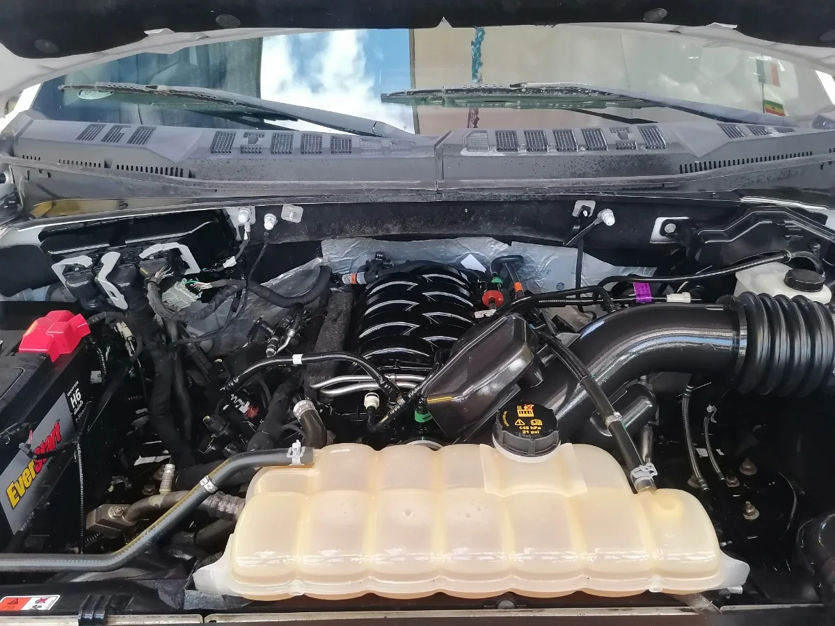 Miniatura 12