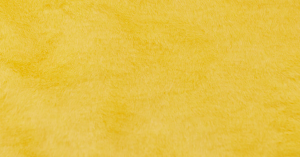 Sunshine Yellow Beaver/Seal